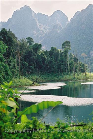 14 Thailand 2002 F1060014 Khao Lak Ausflug Khao Sok_478